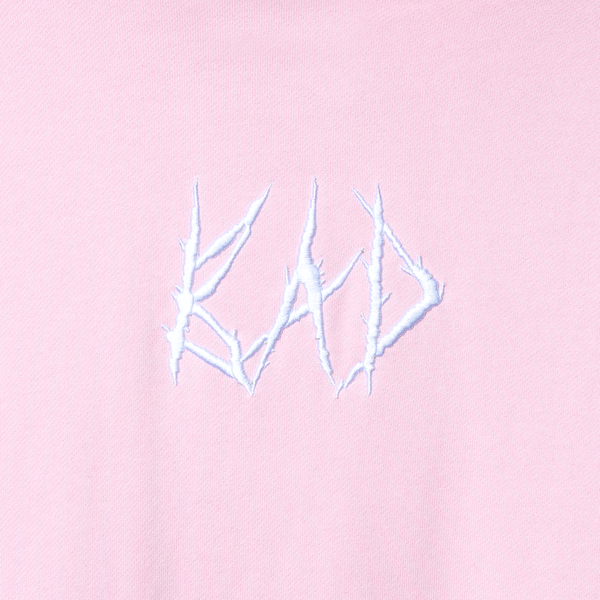 BAD LOGO COLORBLOCK HOODIE PINK