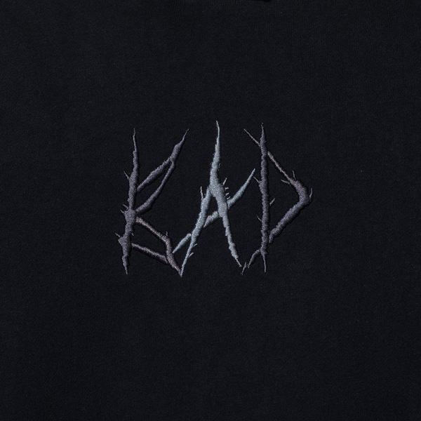 BAD LOGO COLORBLOCK HOODIE TONAL/BLACK MULTICOLOR